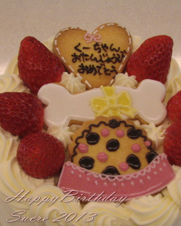 ペットのお誕生日ケーキ