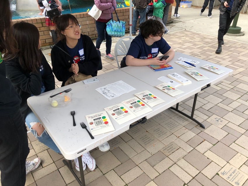 Opinion Stand at Japan Week