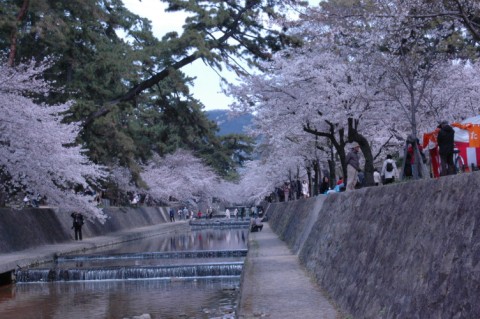 夙川散歩