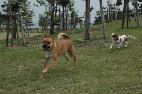 たくましくなりました