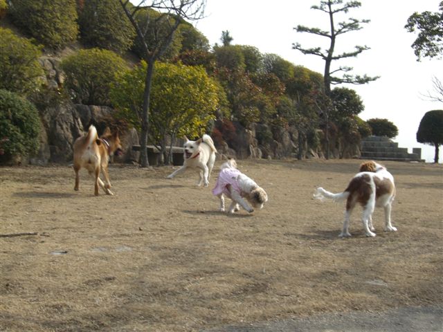 クウタ