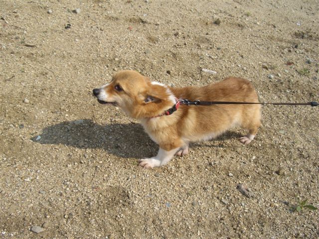 よかった　よかった　よかった