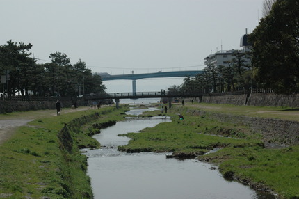 芦屋川河口　昨日