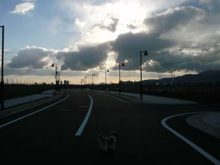 埋立地状況