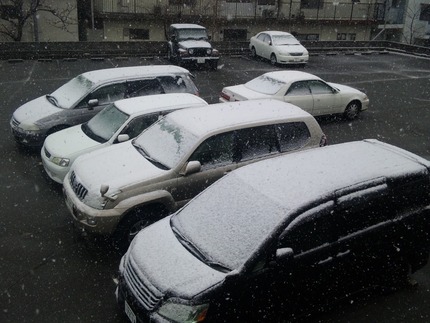 雪が降っています。