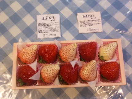 いちごヘビー級