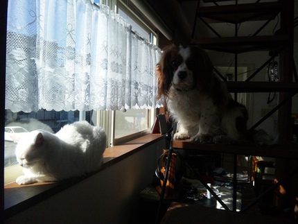 シロとミチル