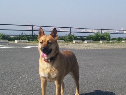 今朝のチル