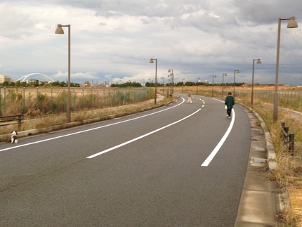 散歩道