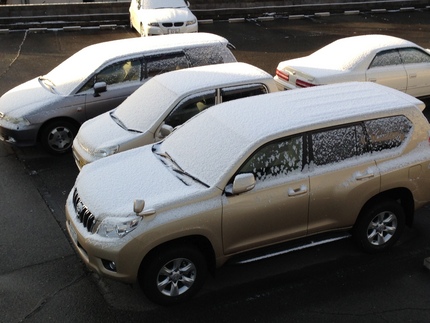 雪が降りました。