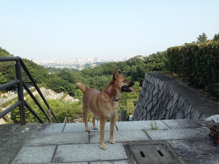 チル