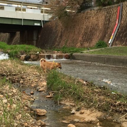 13度です。雨の合間に無事終了