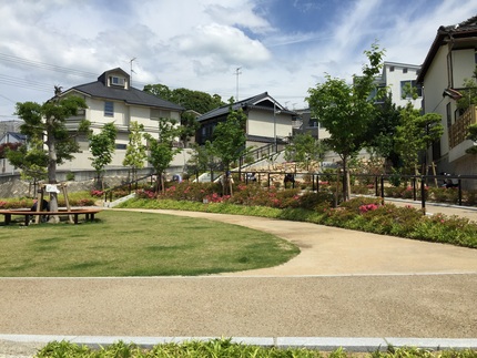 昨日公園の草取りでした