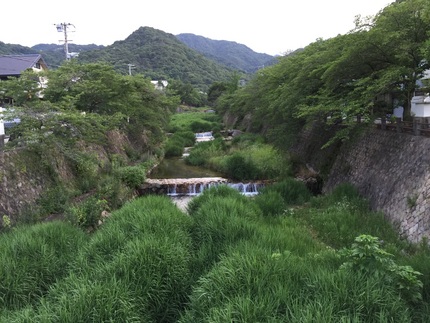 今朝の芦屋川