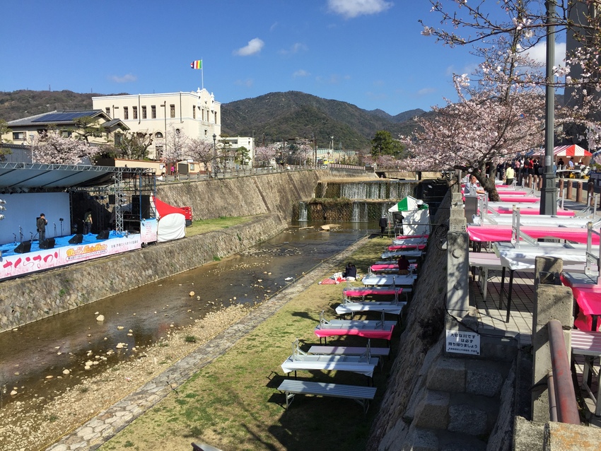 桜まつり会場です