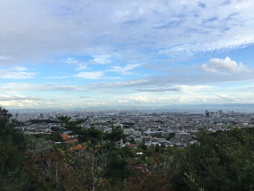 大阪市内を展望しています