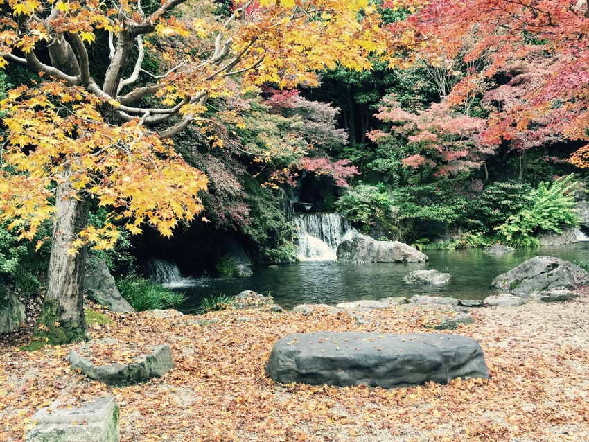 万博公園 日本庭園