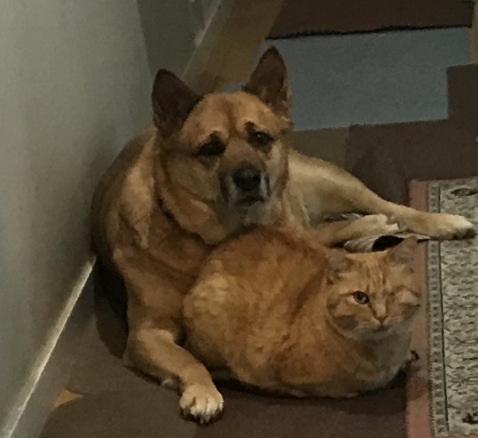 懐かしい写真