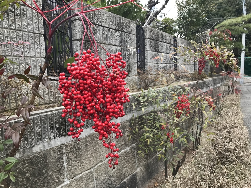 何点何点何点　南天　難点のみ　...