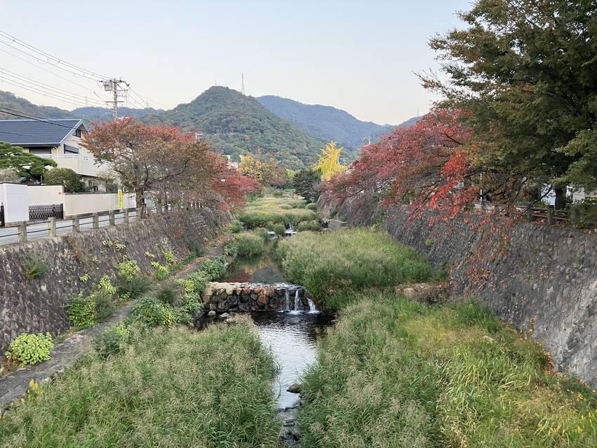 昨日の開森橋から城山方向