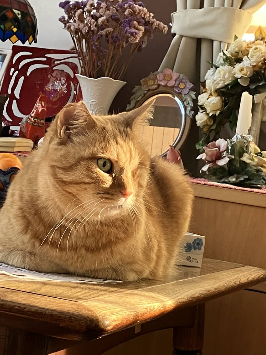 フク