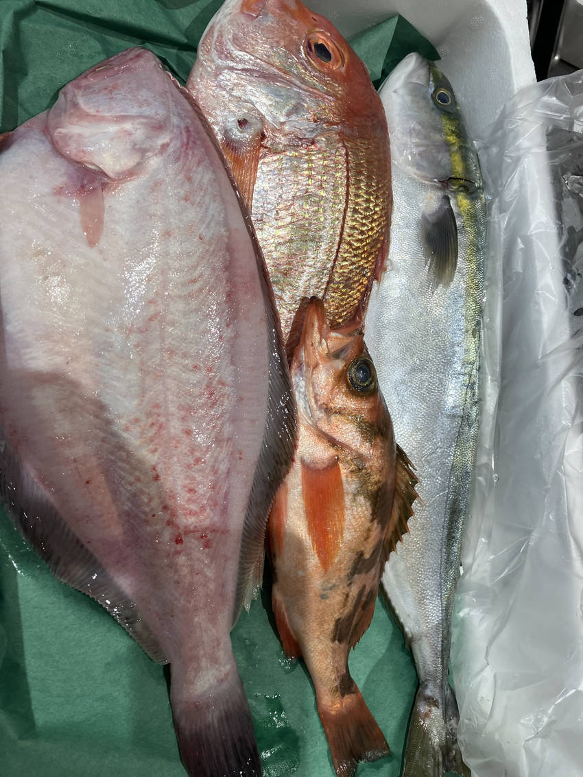 昨日のお魚　特売1000円