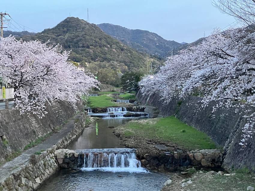 今朝の開森橋