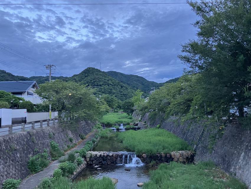 安否確認　そう　　自分の