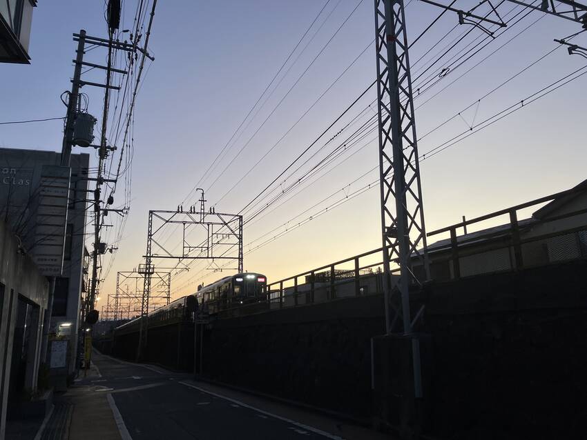 今朝、久しぶりの散歩