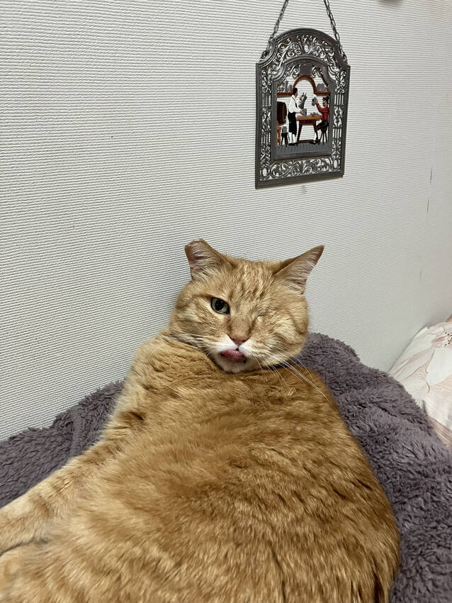 フク