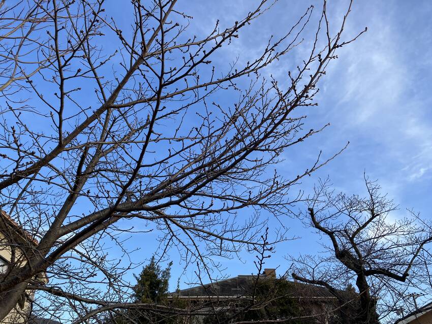 松ノ内公園