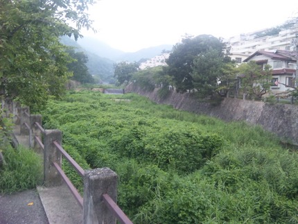 朝の散歩道...