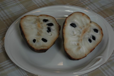 この果物なんでしょう