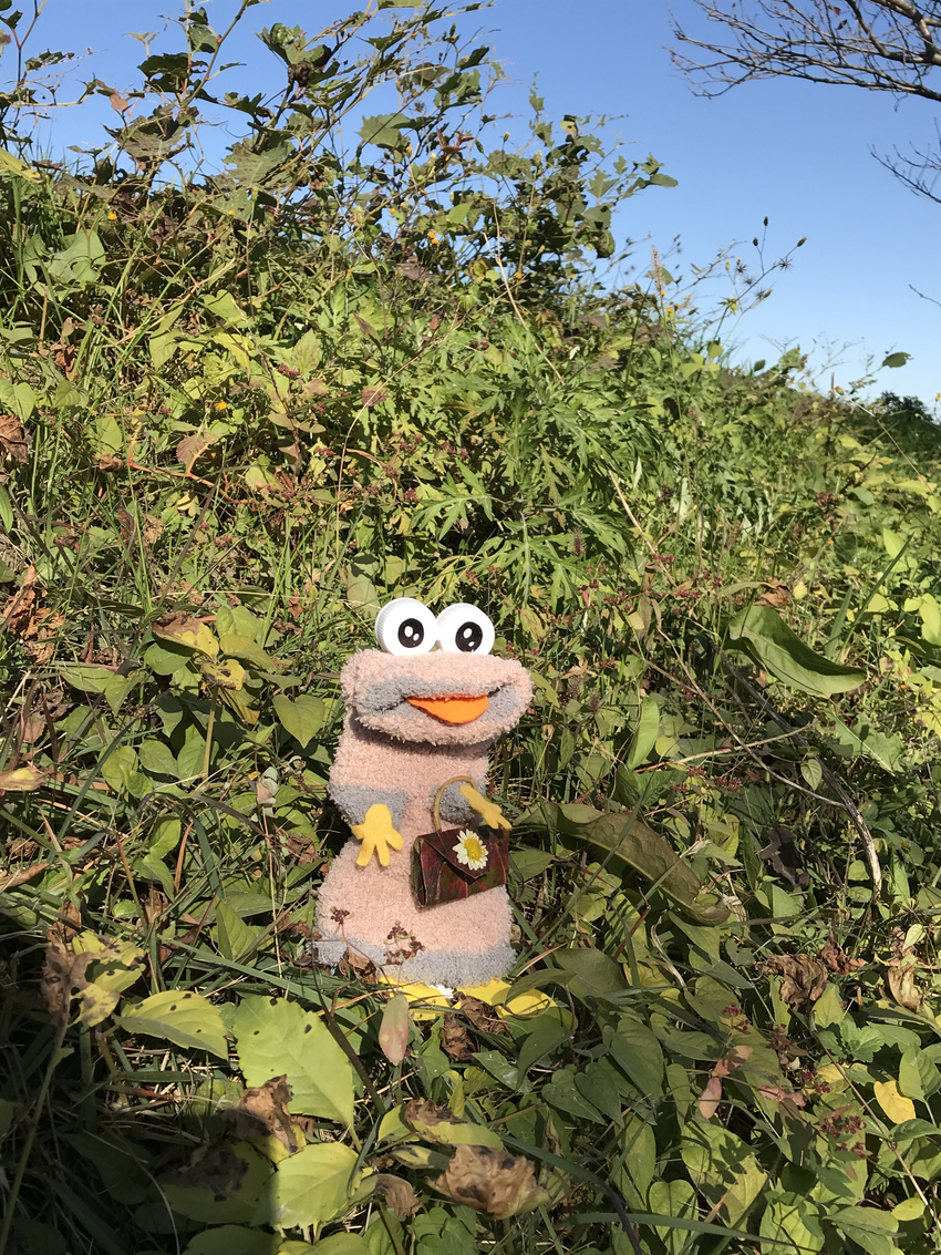 「秋深し 日向ぼっこで いい気...