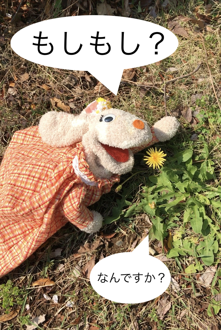 フラワーちゃんとお花たち!写真...
