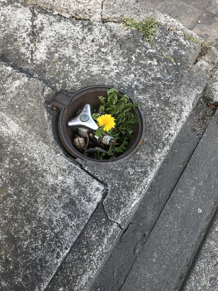 こんなところに!