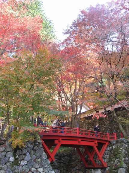 横蔵寺もみじ祭り