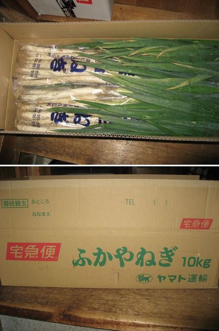 いただき物