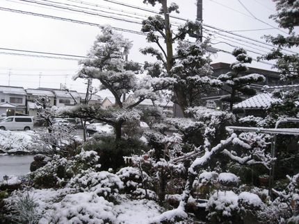 降り出しました