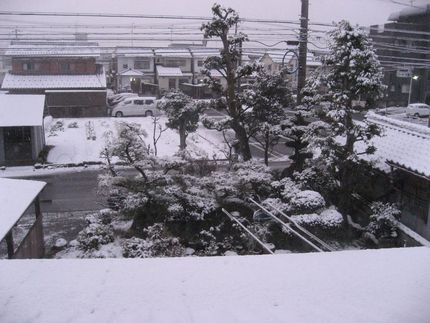 今朝も・・・