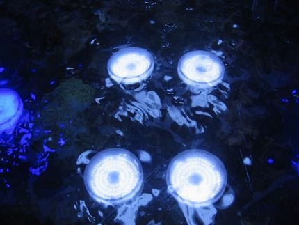 水槽照明のLED化　2