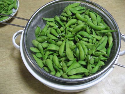 枝豆