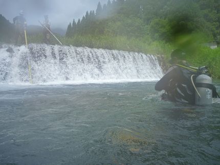 潜水調査