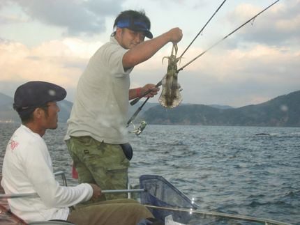 イカ釣り