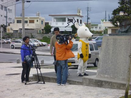 地デジカ