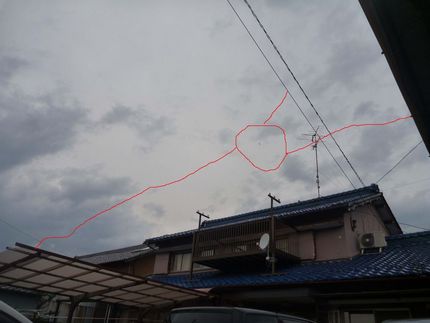 蜘蛛の巣