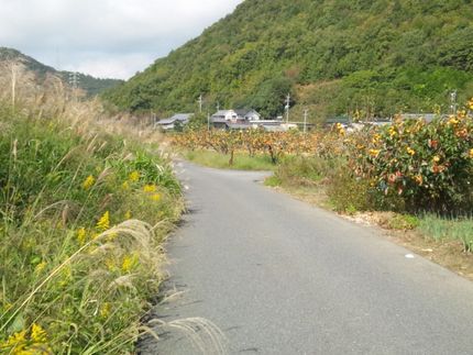 夏のような一日バイクライド33