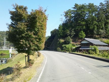 不自然な街路樹バイクライド34