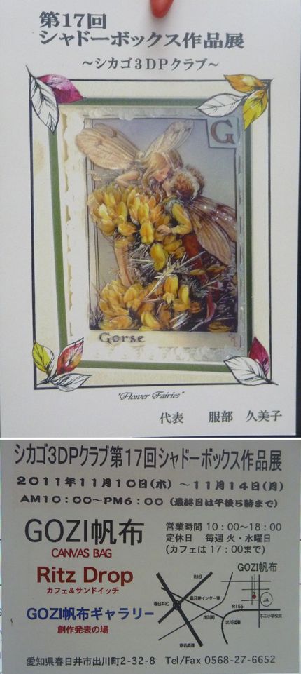 愛知県春日井市でシャドーボック...
