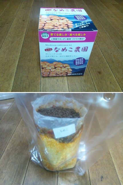 なめこ農園